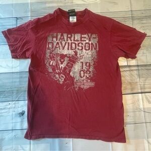 Harley Davidson 1903 Fishers Indiana Dealer shirt Sz m 🔥EUC